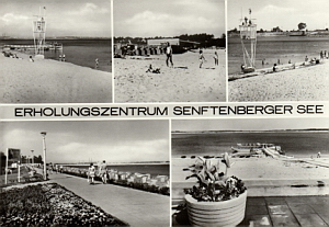 Senftenberg